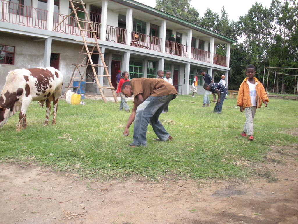 Empower 600 Students in Shashamane Ethiopia