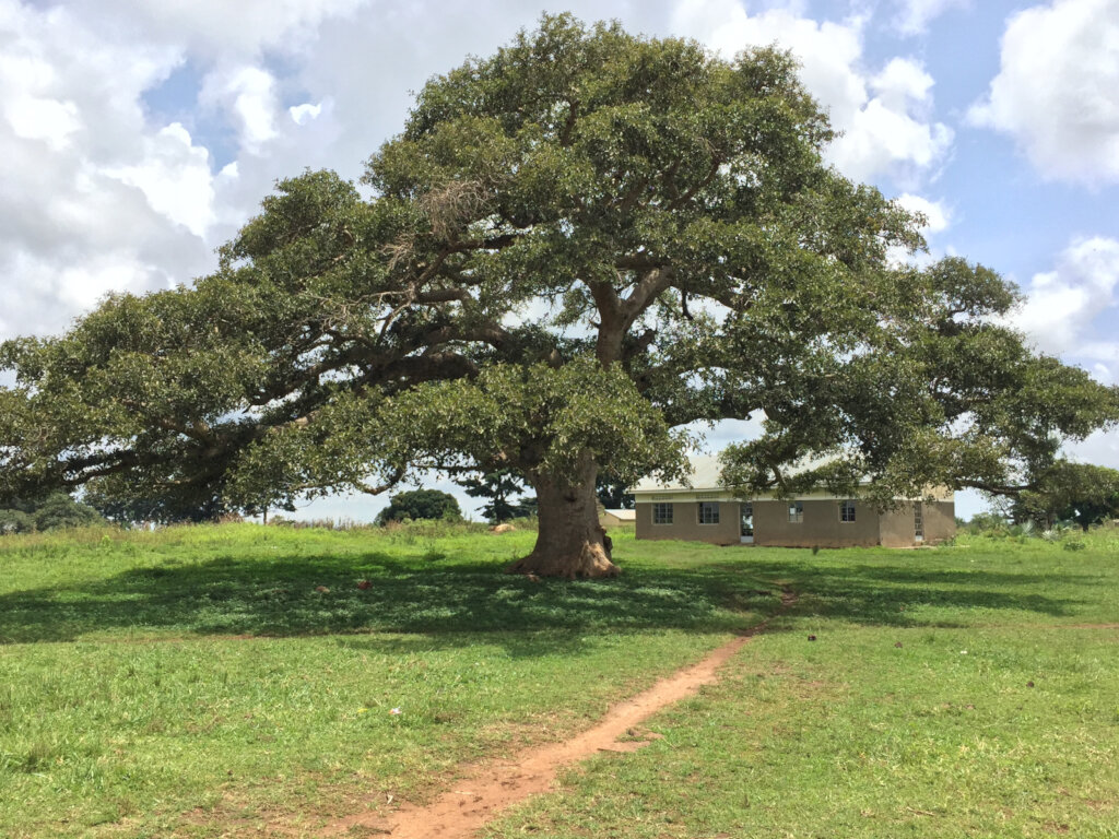 Independent Voice Empowering Communities