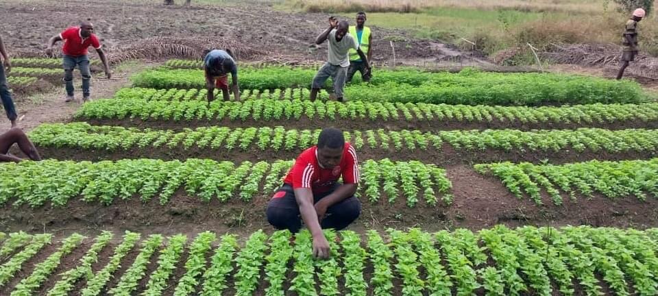 Vocational Skills for Out-of-School Girls
