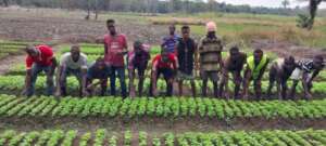 Women in Agriculture