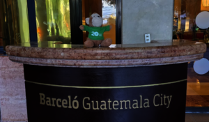 MoMo our Action Change Monkey Joined Ty in Guat
