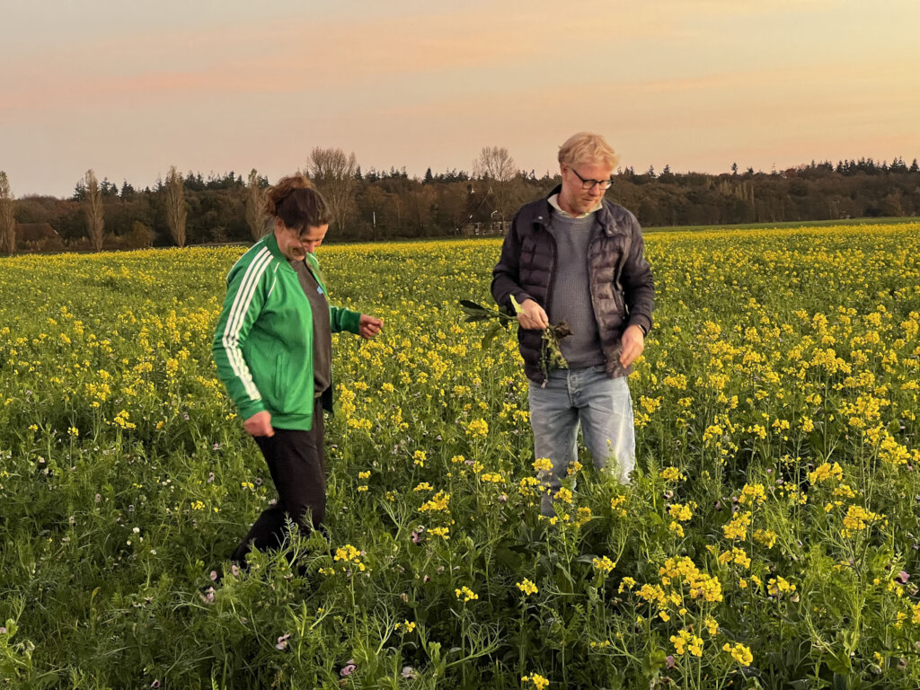 Offset Carbon with Nature