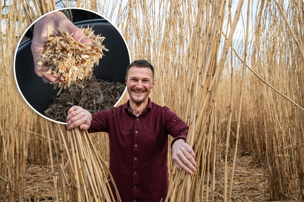 Offset Carbon with Nature