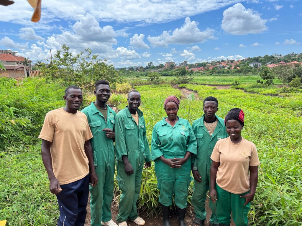 Offset Carbon with Nature