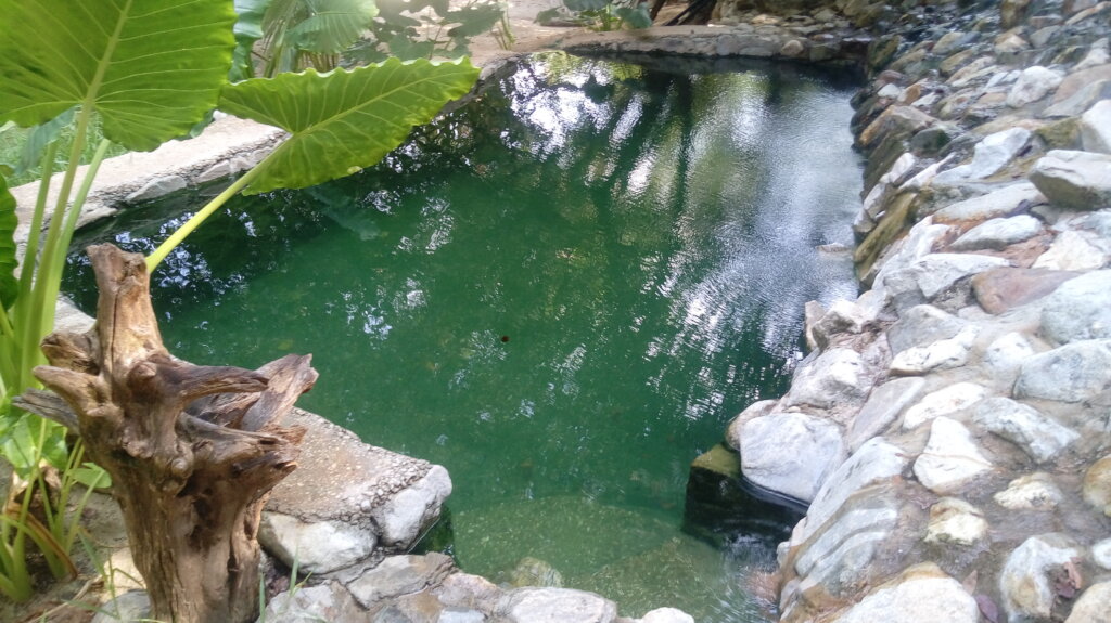 SUPPORT 40 COMMUNITIES TO SAVE RIVER IN OAXACA