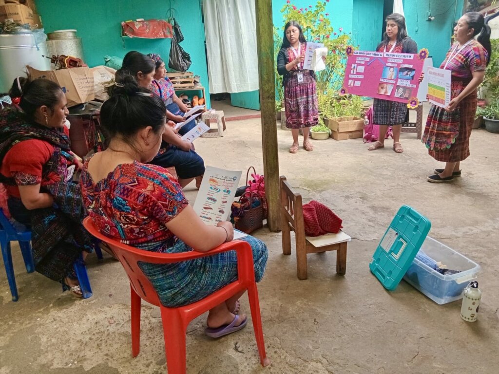 Roots & Roads: Maya Midwifery Mobile Clinics