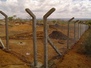 Around the property!