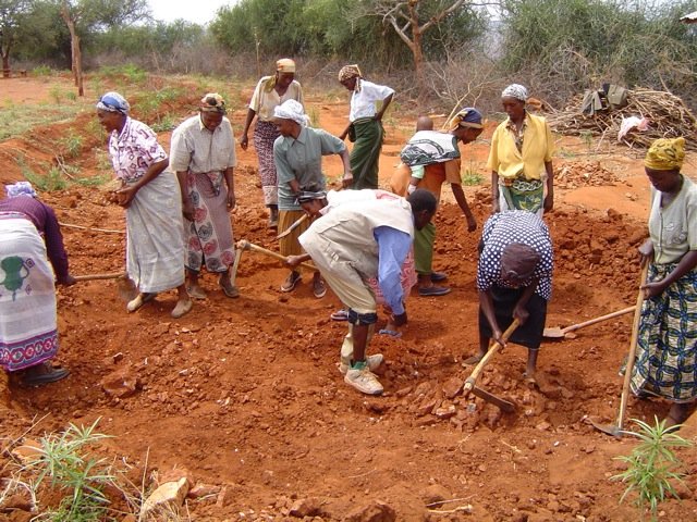 The Community Begins to Make Bricks