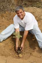 Tom planting a tree on KC's property