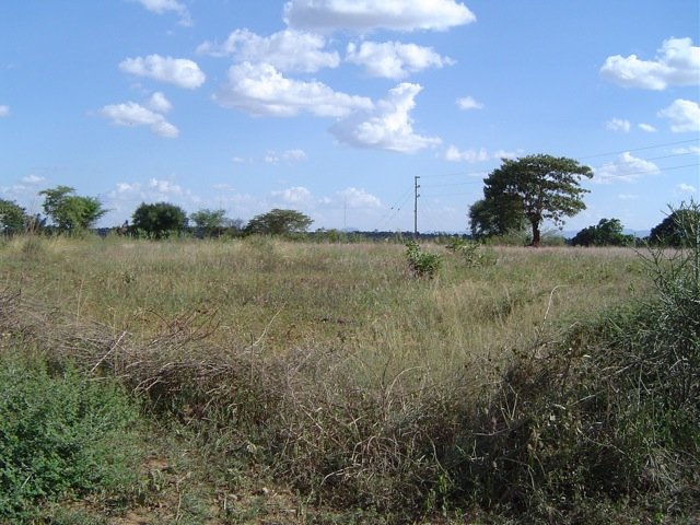Help Build a Green Community Center in Kenya!