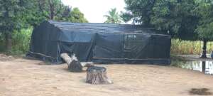 Producing Food and Learning from Nature