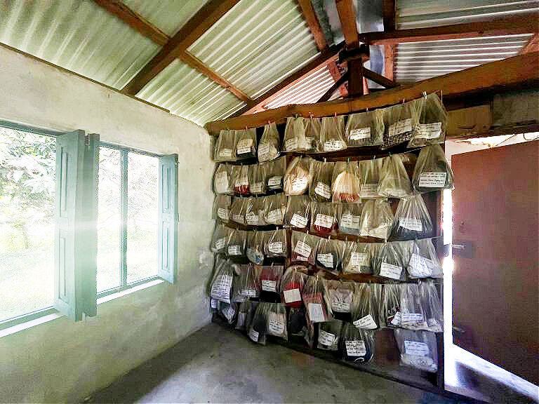 Students will visit memorial sites