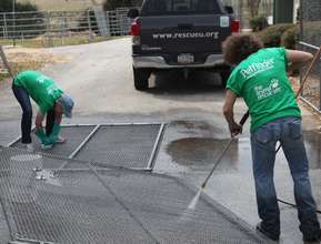 Volunteers hard at work