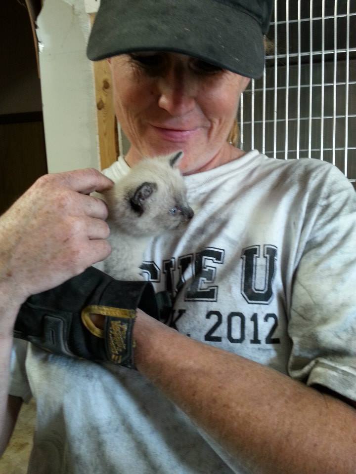 A volunteer with her favorite kitty