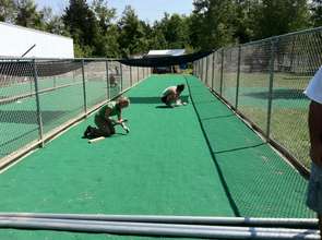 Installing AstroTurf