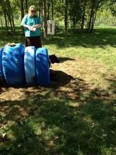 The new agility course