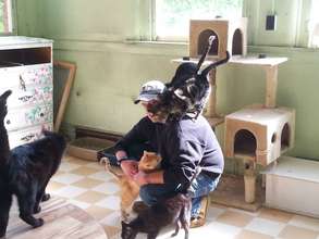 A volunteer getting to know some new friends
