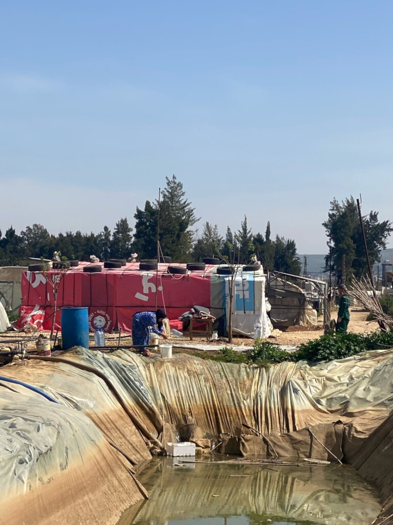 Feed Families in War-Torn Lebanon: Food Aid & Emer