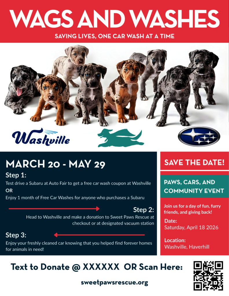 Wags and Washes