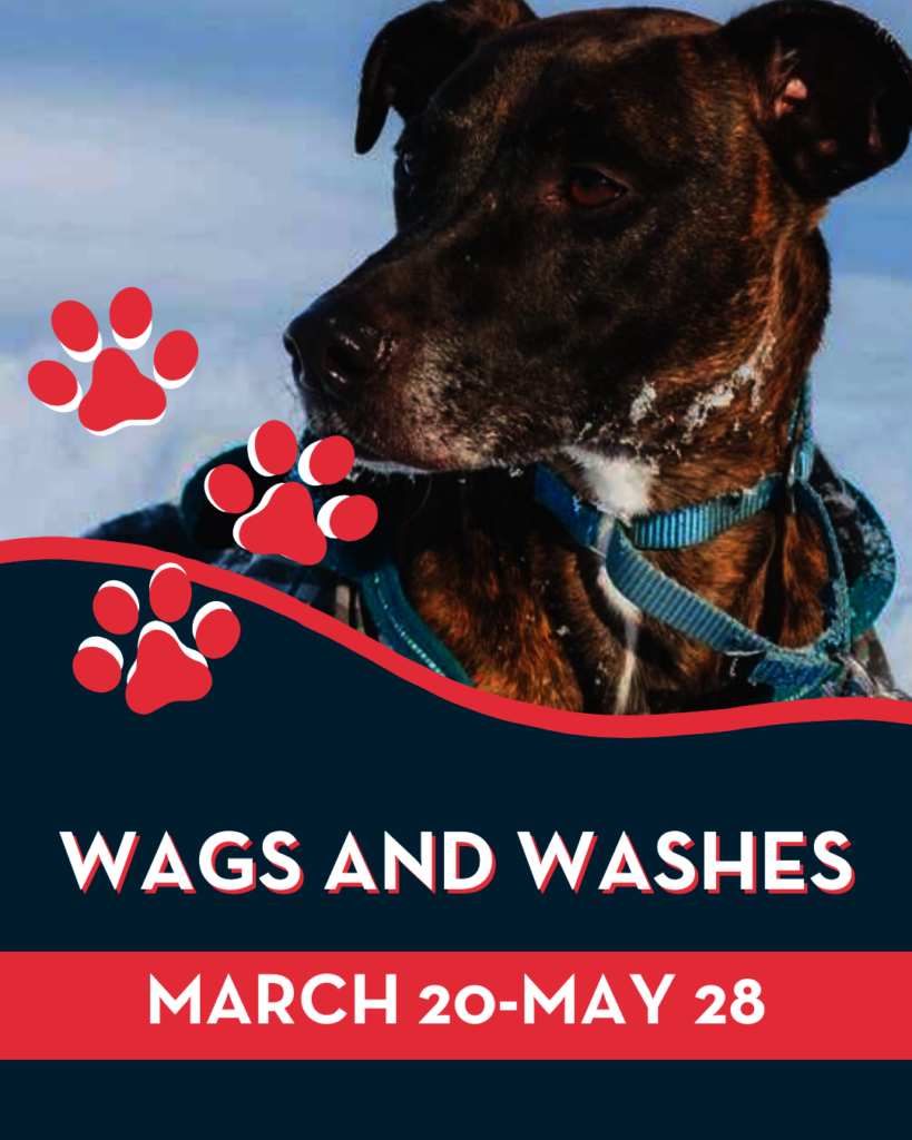 Wags and Washes