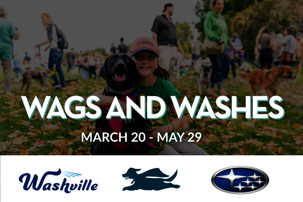 Wags and Washes