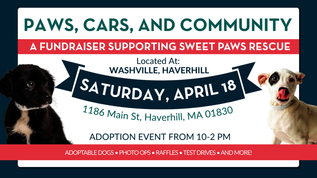 Wags and Washes