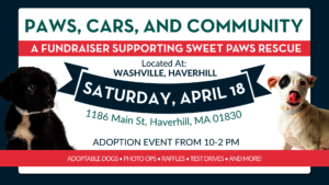 Wags and Washes