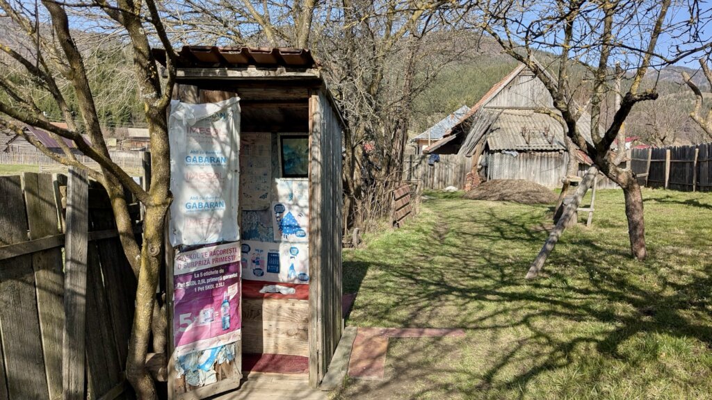 the original toilet