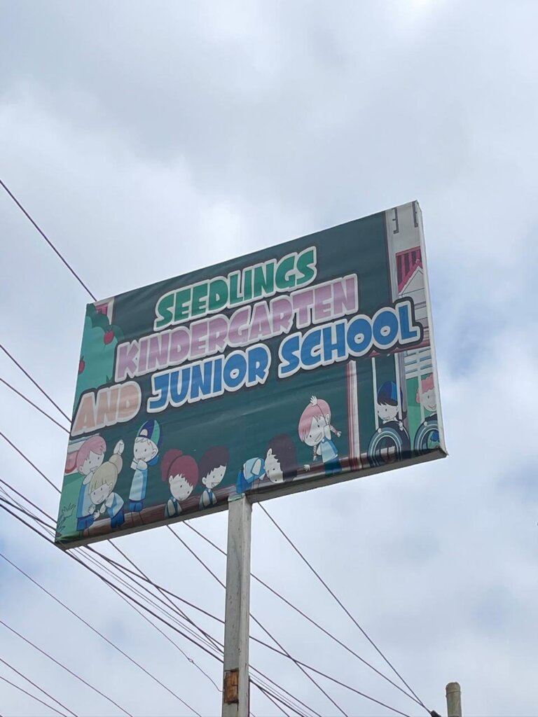 Digital Education for Seedlings Academy