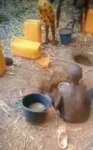 Clean Water for Ankpa School Children Now