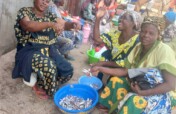 Empower 2000 women's economic resilience in DRC