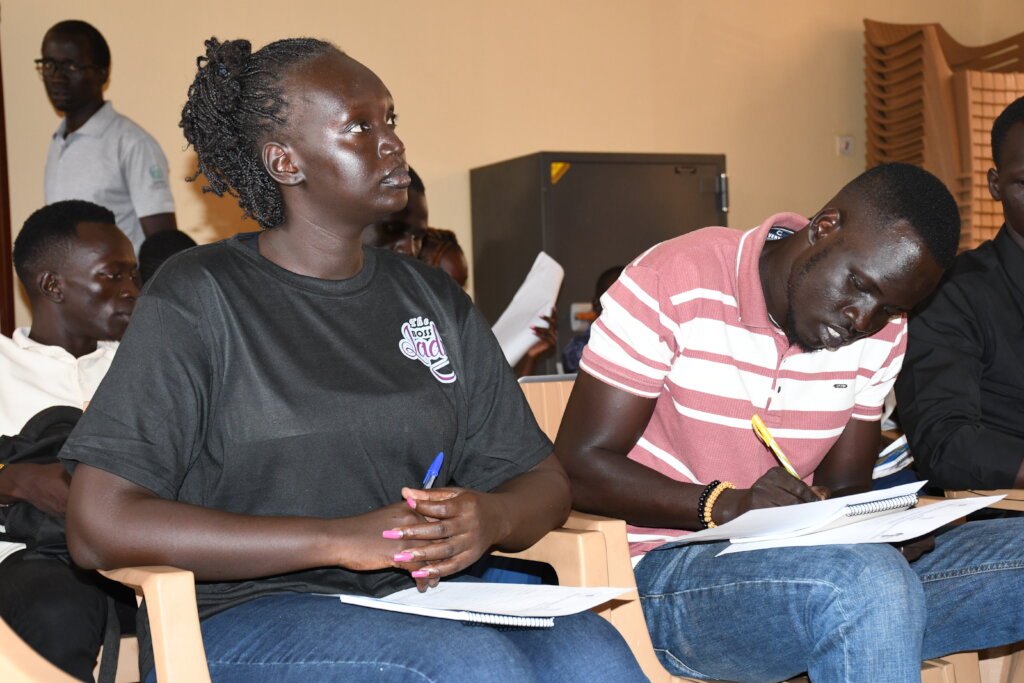 Support media integrity in South Sudan