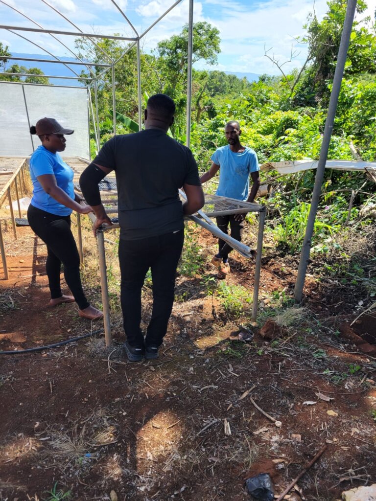 Jamaican Food & Farm Support - Melissa Relief