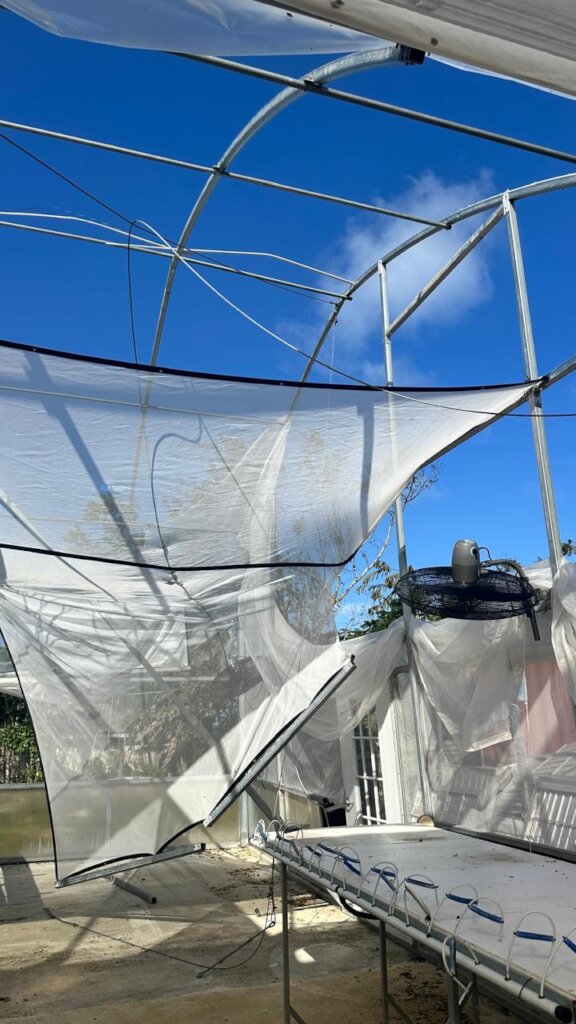 Jamaican Food & Farm Support - Melissa Relief