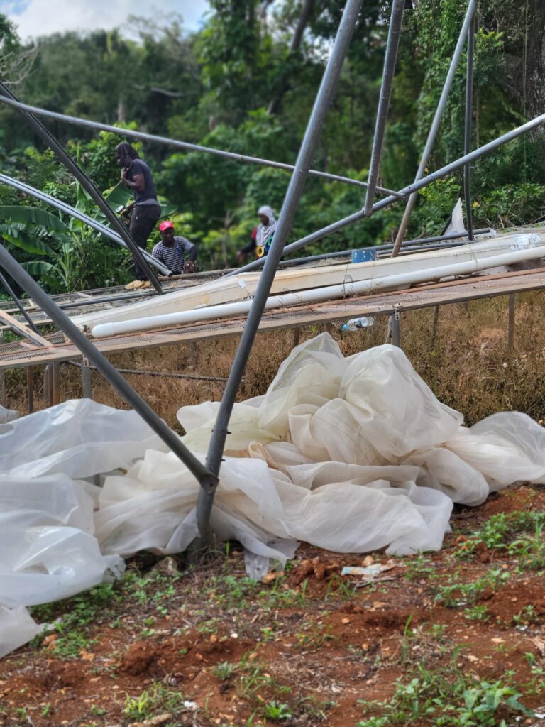 Jamaican Food & Farm Support - Melissa Relief