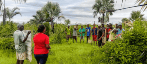 The Red Island Restoration Team in Antsanitia