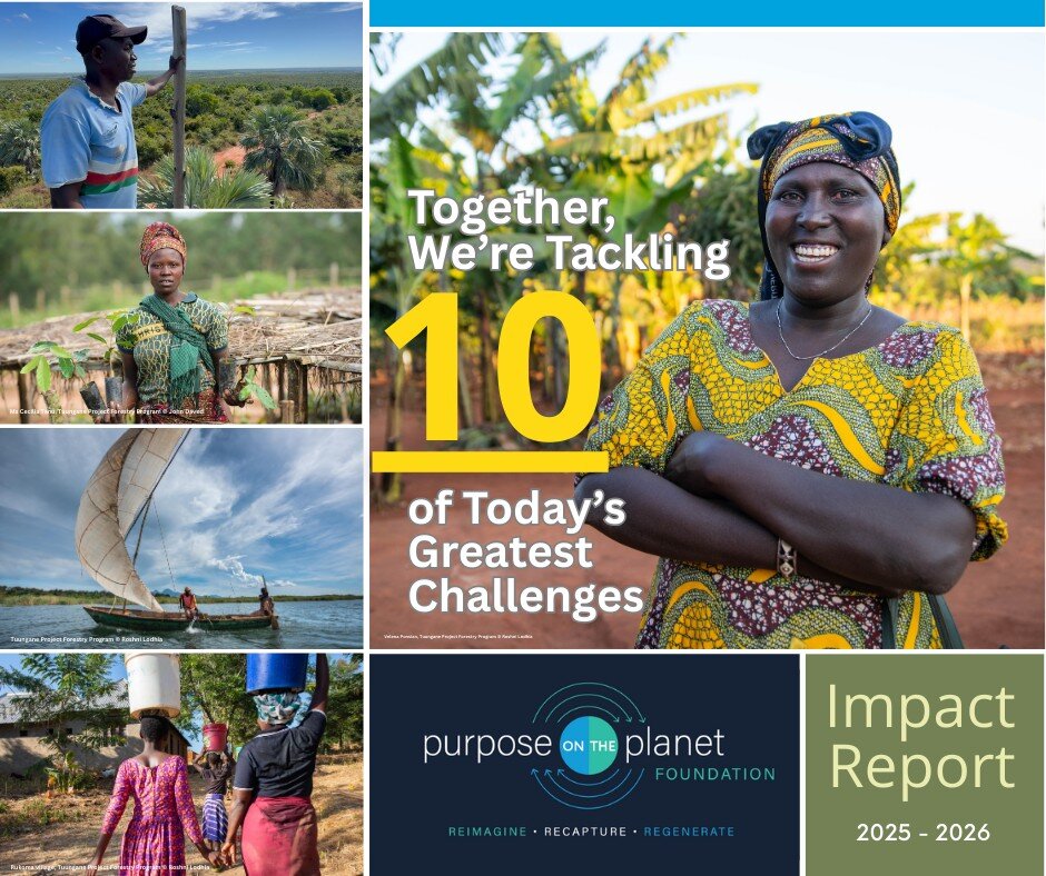 Create a Daily Living Wage for Villagers in Africa
