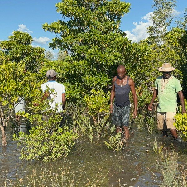 Create a Daily Living Wage for Villagers in Africa