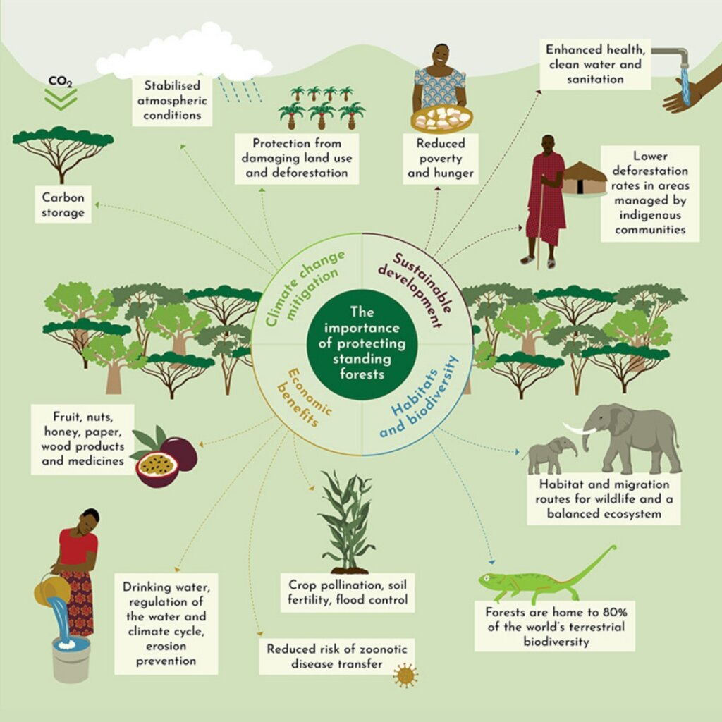 Create a Daily Living Wage for Villagers in Africa