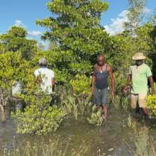 Fight Climate Change by Restoring Ecosystems