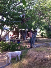 Gustavo and sons help run gas piping to house