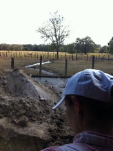 Farm waste will be treated and turned into gas