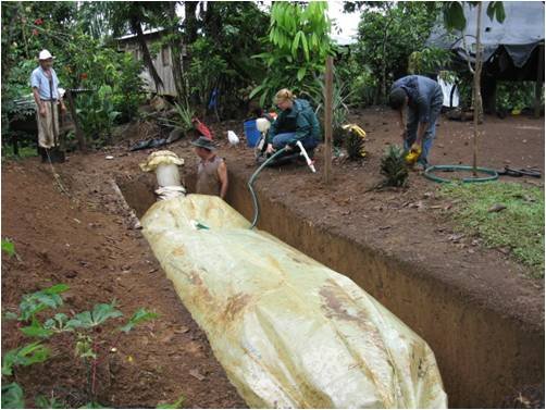 "Gas" to Gas: From Farm Waste to Renewable Energy