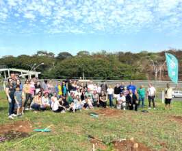 Collective Action, Lasting Impact
