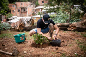 Community and Institutional Impact