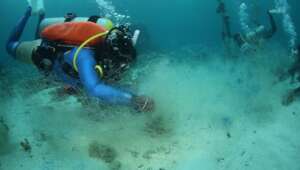 Cleaning Ghost Gear