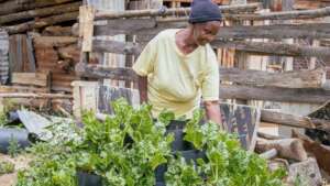 Sustainable Farming for Kenyan Farmers