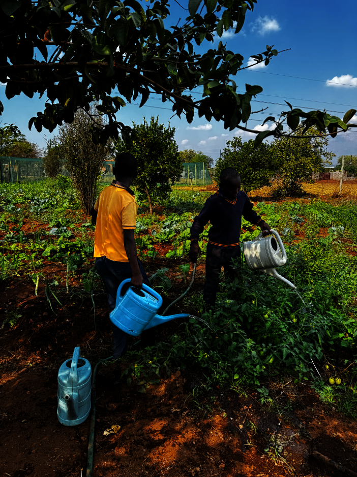Learners watering vegetable crops