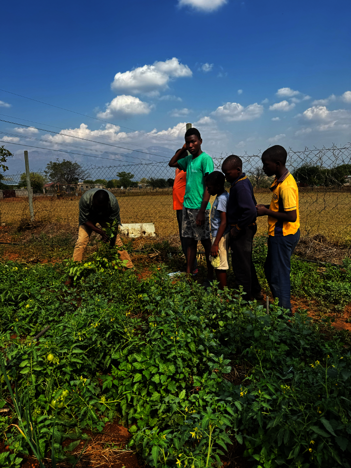 Learners participate in agricultural learning
