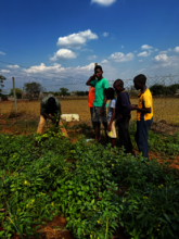 Learners participate in agricultural learning